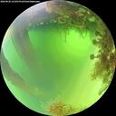 ./images/calvert/underwater/20260820/underwater20260820_121001M.jpg