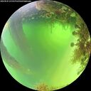 ./images/calvert/underwater/20260820/underwater20260820_121501M.jpg