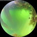 ./images/calvert/underwater/20260820/underwater20260820_122001M.jpg