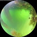 ./images/calvert/underwater/20260820/underwater20260820_122501M.jpg