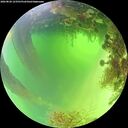 ./images/calvert/underwater/20260820/underwater20260820_123501M.jpg