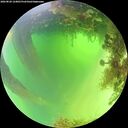 ./images/calvert/underwater/20260820/underwater20260820_124001M.jpg