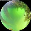 ./images/calvert/underwater/20260820/underwater20260820_124501M.jpg