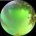 ./images/calvert/underwater/20260820/underwater20260820_125001M.jpg
