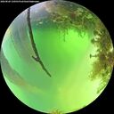 ./images/calvert/underwater/20260820/underwater20260820_130501M.jpg