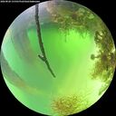 ./images/calvert/underwater/20260820/underwater20260820_131501M.jpg
