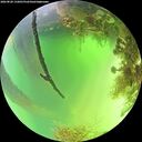 ./images/calvert/underwater/20260820/underwater20260820_132001M.jpg