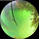 ./images/calvert/underwater/20260820/underwater20260820_132501M.jpg