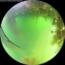 ./images/calvert/underwater/20260820/underwater20260820_133002M.jpg
