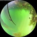 ./images/calvert/underwater/20260820/underwater20260820_133501M.jpg