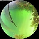 ./images/calvert/underwater/20260820/underwater20260820_134501M.jpg