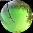 ./images/calvert/underwater/20260820/underwater20260820_135501M.jpg