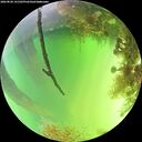 ./images/calvert/underwater/20260820/underwater20260820_141502M.jpg
