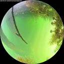 ./images/calvert/underwater/20260820/underwater20260820_142002M.jpg