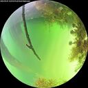 ./images/calvert/underwater/20260820/underwater20260820_142501M.jpg