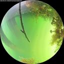 ./images/calvert/underwater/20260820/underwater20260820_144001M.jpg