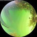 ./images/calvert/underwater/20260820/underwater20260820_145001M.jpg