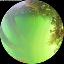 ./images/calvert/underwater/20260820/underwater20260820_145501M.jpg