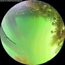 ./images/calvert/underwater/20260820/underwater20260820_150001M.jpg