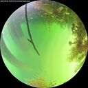 ./images/calvert/underwater/20260820/underwater20260820_150501M.jpg