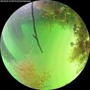 ./images/calvert/underwater/20260820/underwater20260820_151001M.jpg