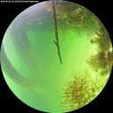 ./images/calvert/underwater/20260820/underwater20260820_151502M.jpg
