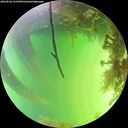 ./images/calvert/underwater/20260820/underwater20260820_152501M.jpg