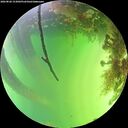 ./images/calvert/underwater/20260820/underwater20260820_153002M.jpg