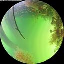 ./images/calvert/underwater/20260820/underwater20260820_153501M.jpg