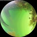 ./images/calvert/underwater/20260820/underwater20260820_154501M.jpg
