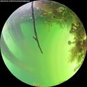 ./images/calvert/underwater/20260820/underwater20260820_155001M.jpg