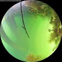 ./images/calvert/underwater/20260820/underwater20260820_155501M.jpg