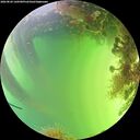 ./images/calvert/underwater/20260820/underwater20260820_160501M.jpg