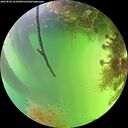 ./images/calvert/underwater/20260820/underwater20260820_161001M.jpg