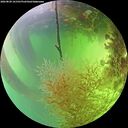 ./images/calvert/underwater/20260820/underwater20260820_161501M.jpg