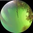./images/calvert/underwater/20260820/underwater20260820_162501M.jpg