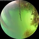 ./images/calvert/underwater/20260820/underwater20260820_163001M.jpg