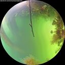 ./images/calvert/underwater/20260820/underwater20260820_163501M.jpg