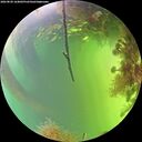 ./images/calvert/underwater/20260820/underwater20260820_164001M.jpg