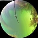 ./images/calvert/underwater/20260820/underwater20260820_164501M.jpg