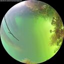 ./images/calvert/underwater/20260820/underwater20260820_165001M.jpg