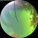 ./images/calvert/underwater/20260820/underwater20260820_170001M.jpg