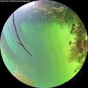 ./images/calvert/underwater/20260820/underwater20260820_170502M.jpg