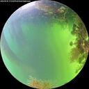 ./images/calvert/underwater/20260820/underwater20260820_171502M.jpg