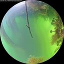 ./images/calvert/underwater/20260820/underwater20260820_172001M.jpg