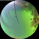 ./images/calvert/underwater/20260820/underwater20260820_172501M.jpg