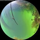 ./images/calvert/underwater/20260820/underwater20260820_173001M.jpg