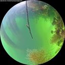 ./images/calvert/underwater/20260820/underwater20260820_173501M.jpg