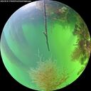 ./images/calvert/underwater/20260820/underwater20260820_174001M.jpg