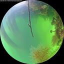 ./images/calvert/underwater/20260820/underwater20260820_174501M.jpg